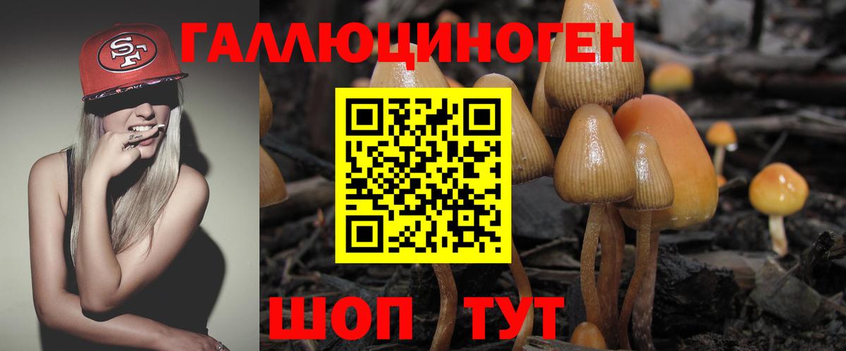 Псилоцибиновые грибы GOLDEN TEACHER Тимашёвск