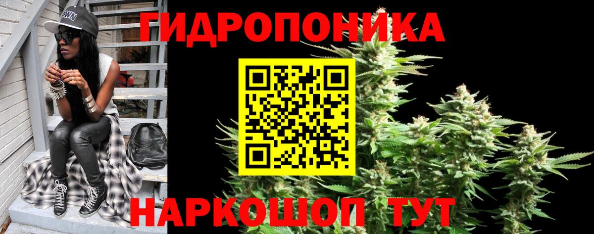 Шишки марихуана Amnesia Тимашёвск